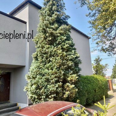 CBE9BA0A-78CC-4D79-AA17-FC8E7B124A17